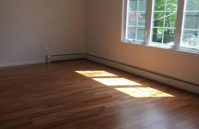 49 Speedwell Ave Gallery 4