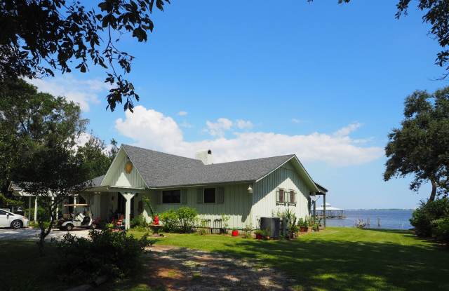 Dolphin watching from your own private beach! photos photos