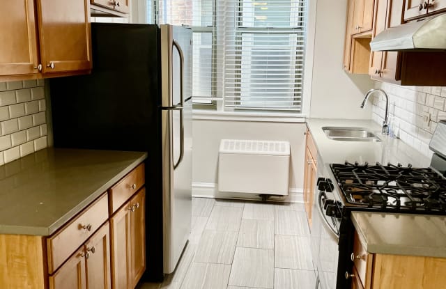 1319 E Madison Park - 1319 East Madison Park, Chicago, IL 60615