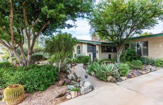 2218 E Cactus Wren Drive photos photos