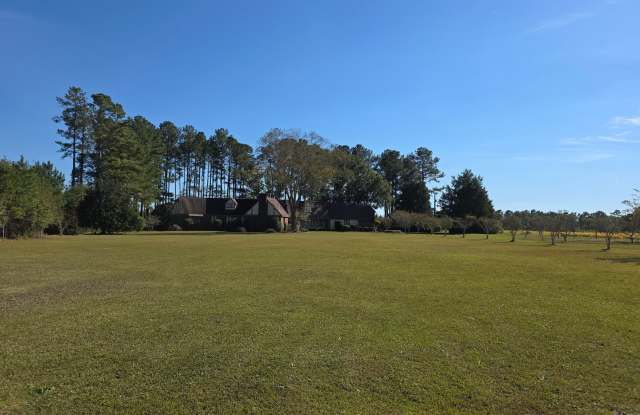 ST. MATTHEWS - 353 Bull Swamp Road, Calhoun County, SC 29135 ST. MATTHEWS - 353 Bull Swamp Road, Calhoun County, SC 29135