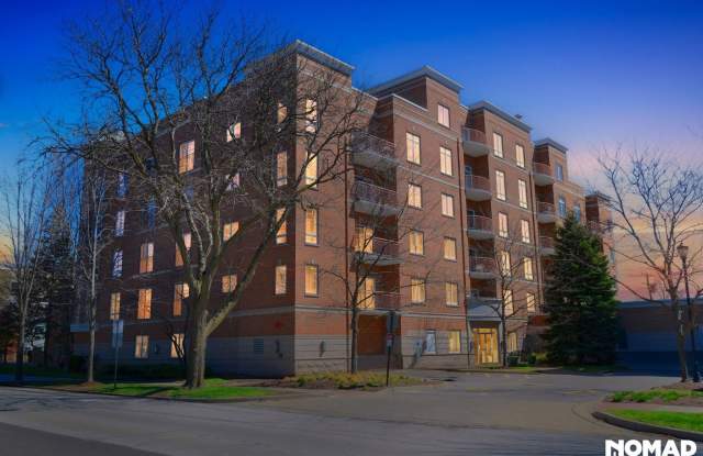 Spacious 2BR luxury Condo in Des Plaines photos photos