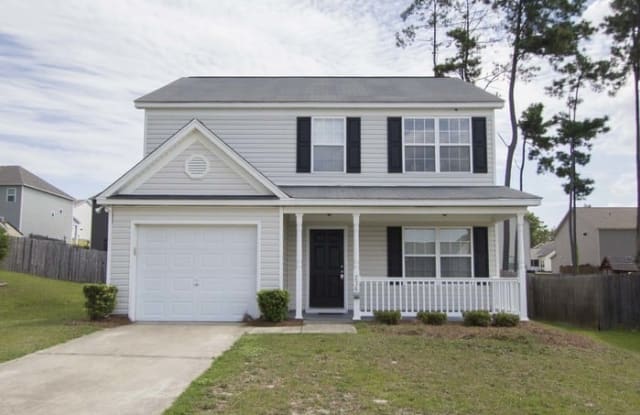 236 Stagone Lane - 236 Stagone Lane, Lexington County, SC 29073