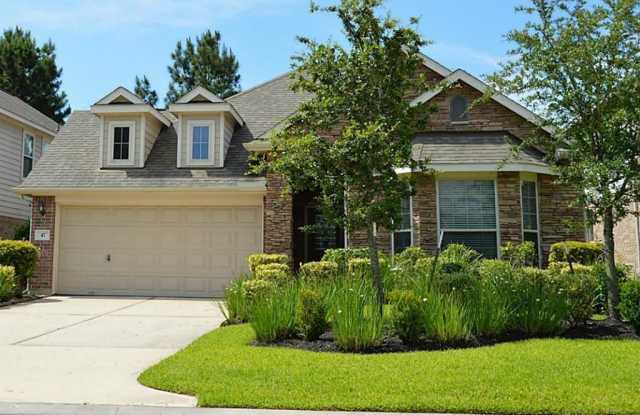 47 Sagamore Ridge Place - 47 Sagamore Ridge Place, The Woodlands, TX 77389