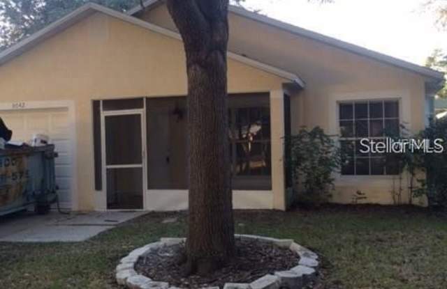 3642 SAPPHIRE LANE - 3642 Sapphire Lane, Palm Harbor, FL 34684
