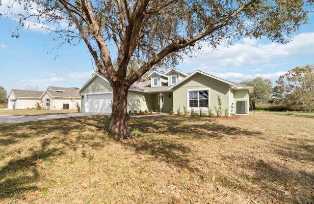 MOVE IN SPECIAL- Beautiful 4/2 Home on 3/4 Acre For Rent in St. Cloud Gallery 4