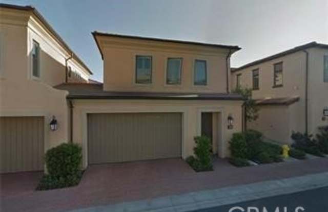 217 Rodeo photos photos