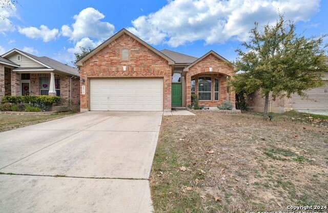 8727 Yormis Nest photos photos