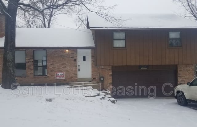 4525 Richard Dr - 4525 Richard Drive, Jefferson County, MO 63010
