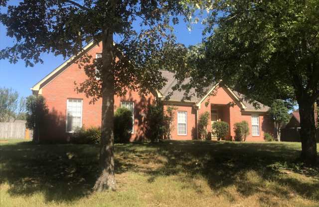 6368 Old Brownsville Gallery 2