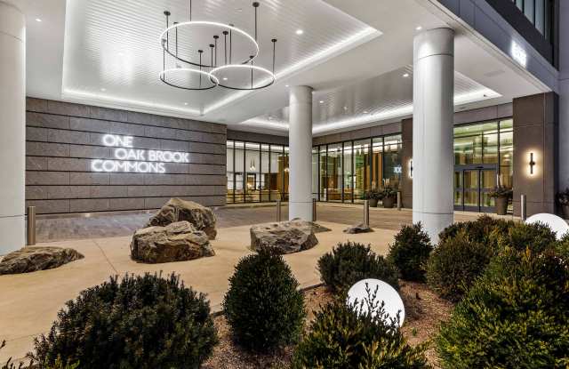 One Oak Brook Commons photos photos
