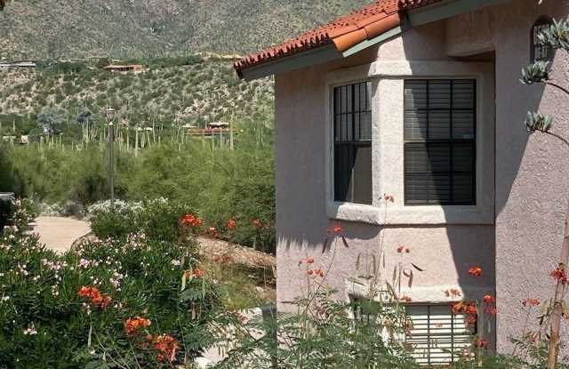 6500 N Tierra de las Catalinas photos photos