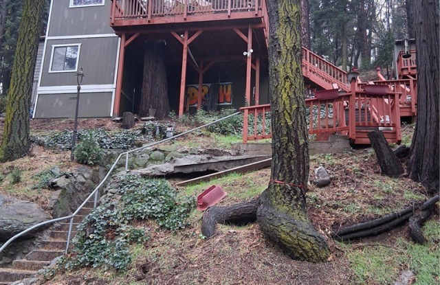 480 Mozumdar photos photos