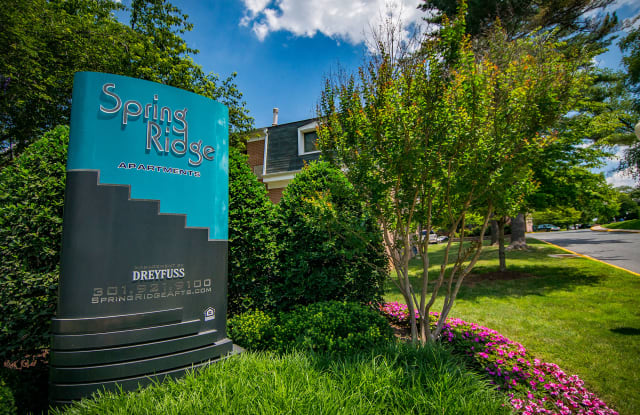 Spring Ridge Apartments Gallery 4