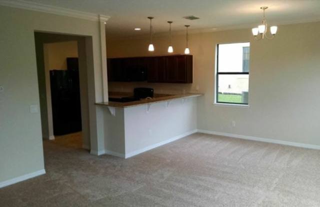 1158 Chervil Dr Gallery 3