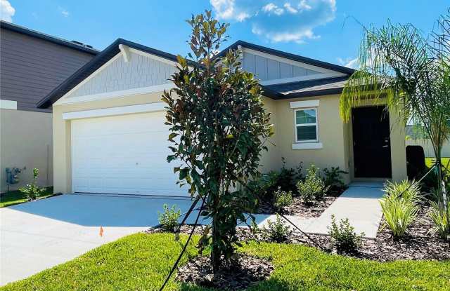 22238 BLAZING STAR RUN - 22238 Blazing Star Run, Connerton, FL 34637