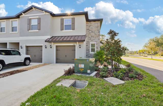 Brand New End Unit Townhome in Angeline Community - 17504 Nectar Flume Drive, Pasco County, FL 34638