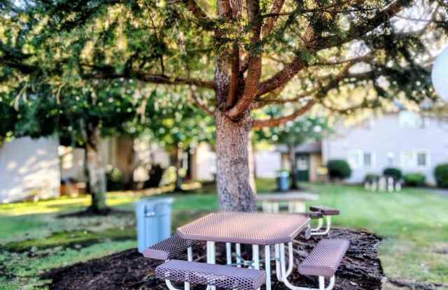 #330 AUTUMN CHASE photos photos