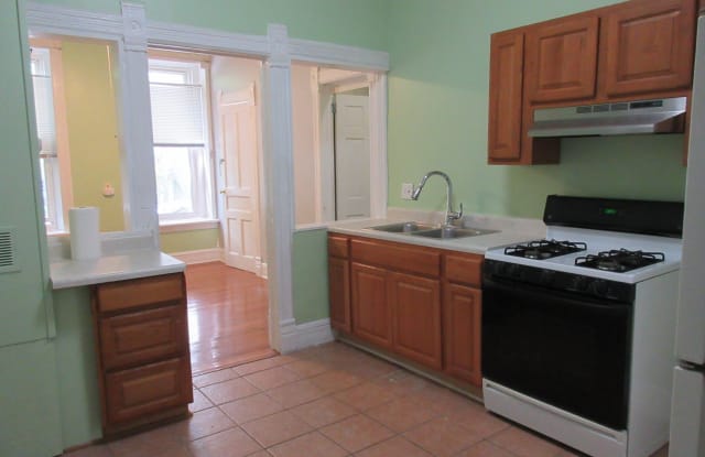 1152 W 17th St - 1152 West 17th Street, Chicago, IL 60608