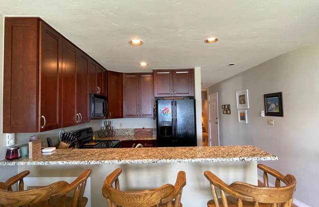 Lakefront Two Bedroom Two Bath Condo in Dillon Gallery 4