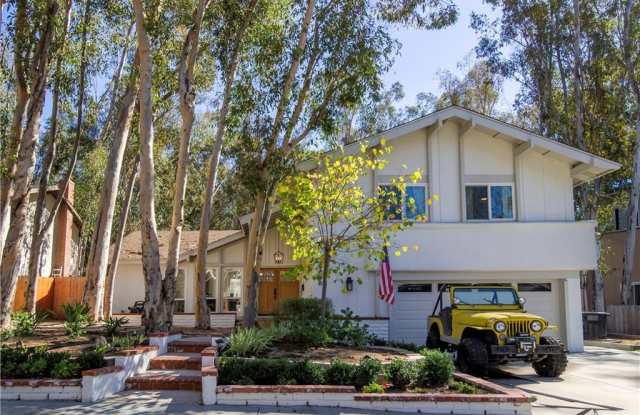 24656 Shadowfax Dr - 24656 Shadowfax Drive, Lake Forest, CA 92630