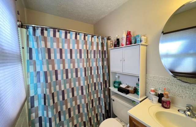 1709 Hollow Tree Lane Gallery 4