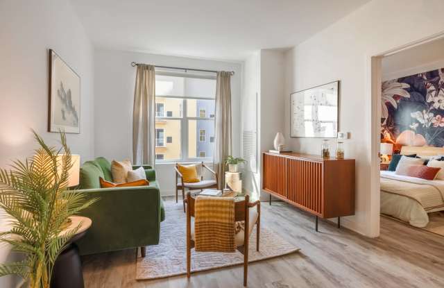 Stella photos photos