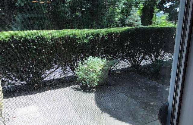 38 STONE MANOR CT Gallery 4