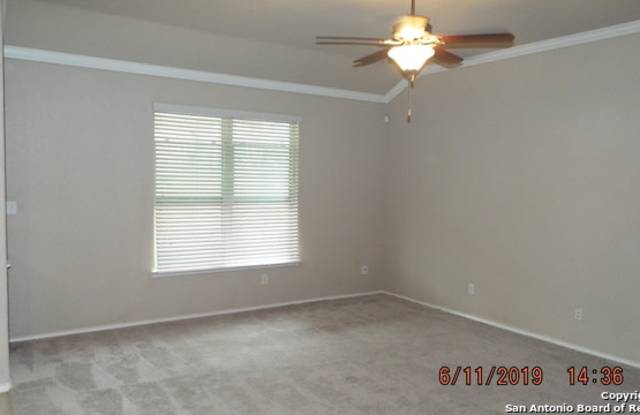 262 POSEY PASS Gallery 4