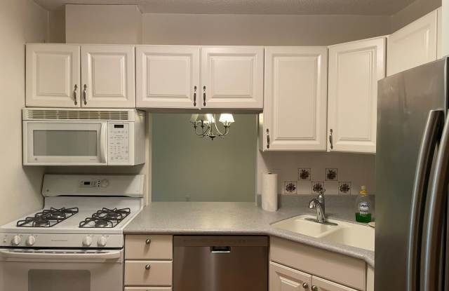 Updated Condo with Modern Comfort  Resort-Style Amenities in Prime Edina Location for $1,649/month! photos photos