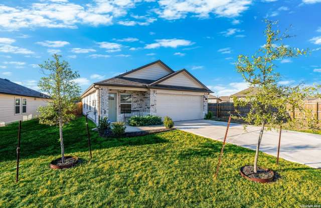 155 Globe Mallow photos photos