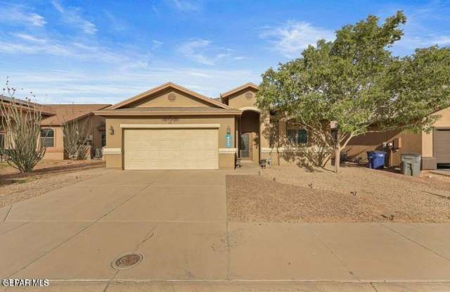 1328 Dominic Anakin Drive photos photos