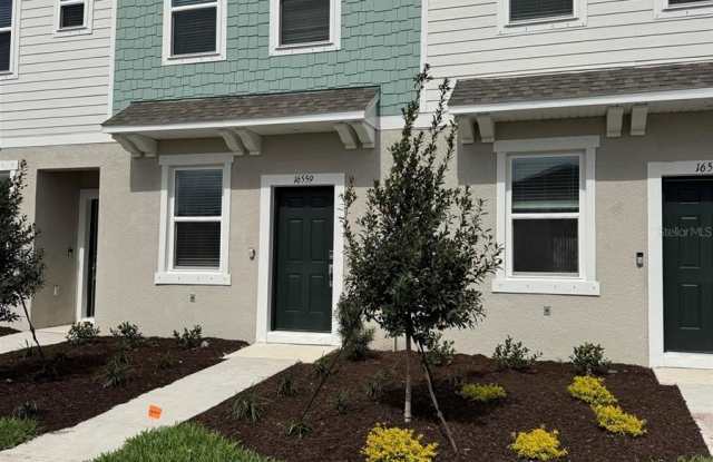 16559 SAN NICOLA PLACE photos photos