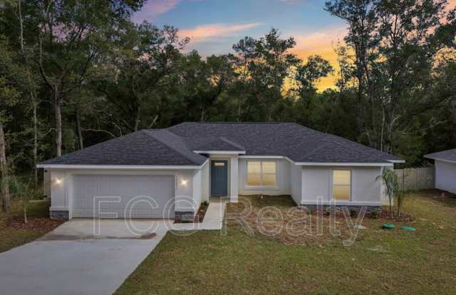 10675 N Adler Dr - 10675 North Adler Drive, Citrus Springs, FL 34434