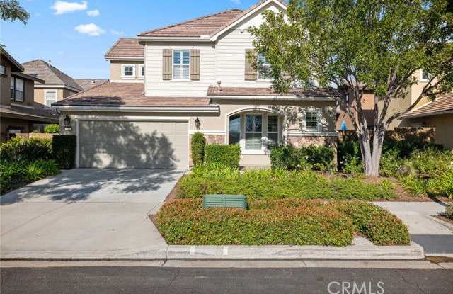 123 Sparrow photos photos