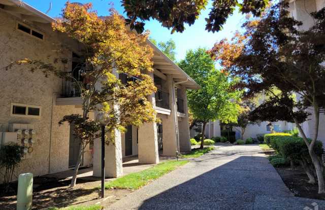 Westpark Gardens Gallery 2