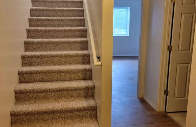3 Bedroom 2 Bathroom Pet Friendly-Belgrade photos photos