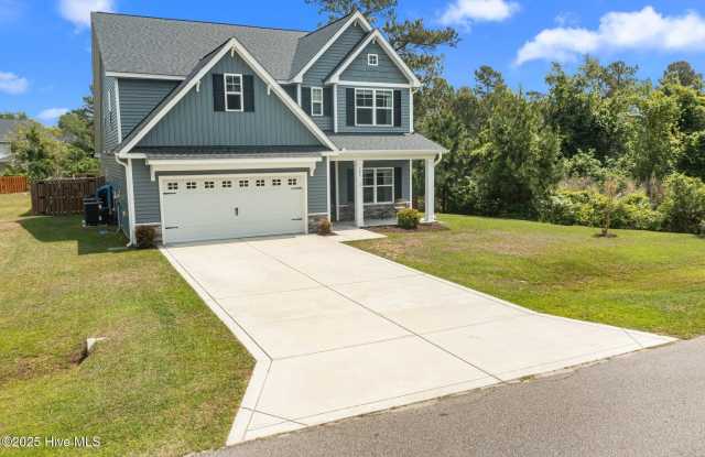 303 Red Cedar Drive Gallery 4