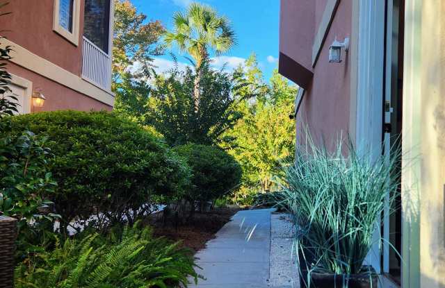307 Holly Street photos photos