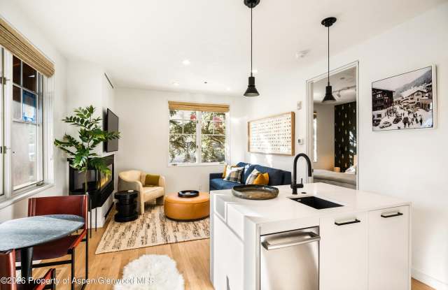 501 W Main Street unit: A101 photos photos