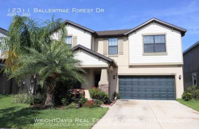 12311 Ballentrae Forest Dr - 12311 Ballentrae Forest Drive, Riverview, FL 33579