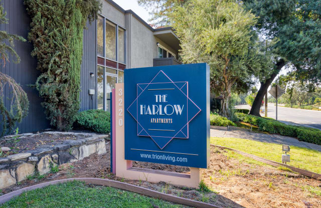 The Harlow photos photos