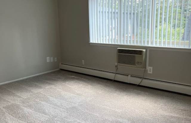 Charming 1 bedroom/1 bath near Downtown Rochester! - 843 Ludlow Avenue, Rochester, MI 48307