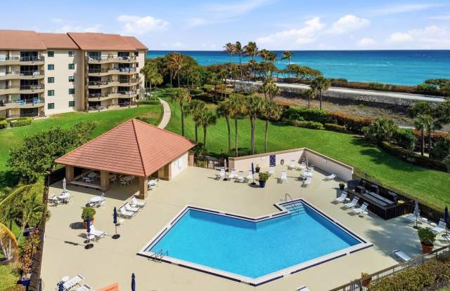 401 Ocean Bluffs Boulevard unit: 104 photos photos