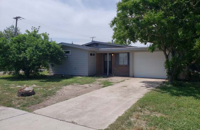 1024 E. Schunior Street - 1024 East Schunior Street, Edinburg, TX 78541