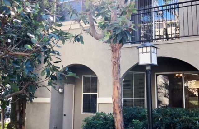 3004 Cherrywood Gallery 3