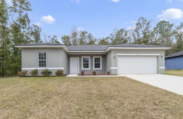 10616 N Didiscus Dr photos photos