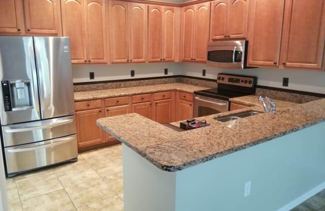 8541 Sandpiper Ridge Ave - 8541 Sandpiper Ridge Avenue, Tampa, FL 33647