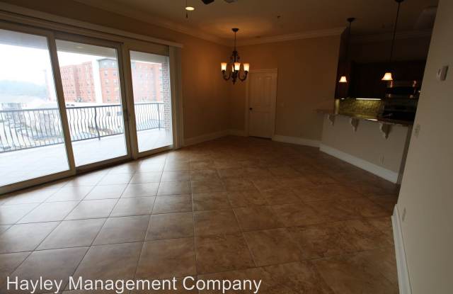 234 W Magnolia Unit 413 Gallery 4