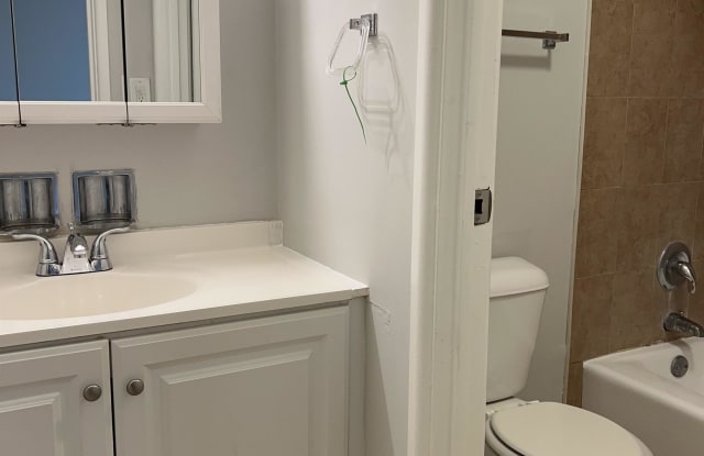 3335 147th Place - 3D - 3335 147th Pl, Midlothian, IL 60445